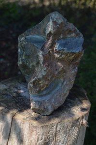 Face with a Crooked Nose